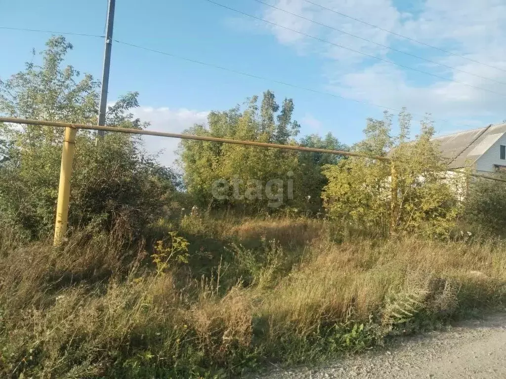 Участок в Воронежская область, Семилукское с/пос, с. Ендовище ул. ... - Фото 1