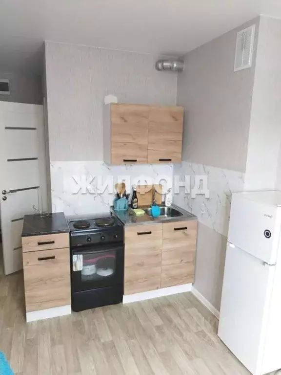 Студия Новосибирская область, Новосибирский район, Станционный ... - Фото 1