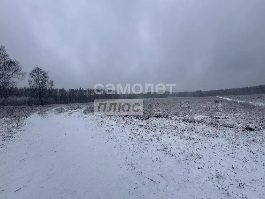 Участок в Нижегородская область, Балахнинский муниципальный округ, д. ... - Фото 1