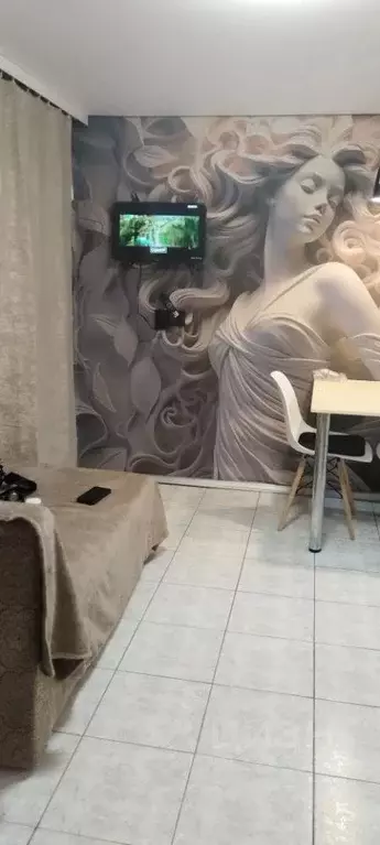 1-к кв. Ростовская область, Новочеркасск Кирпичная ул., 13 (25.0 м) - Фото 1