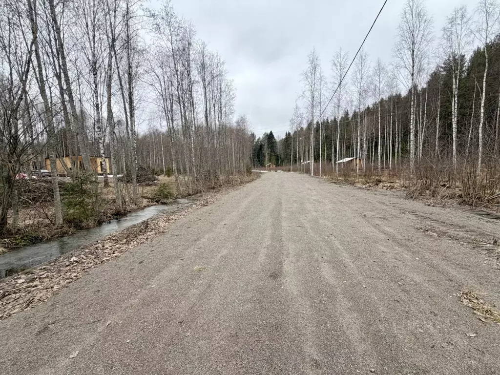 Участок в Карелия, Лахденпохский район, Куркиекское с/пос, пос. ... - Фото 2