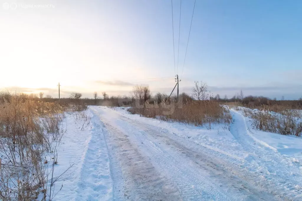 Участок в Нижнетавдинский район, село Иска (2500 м) - Фото 0