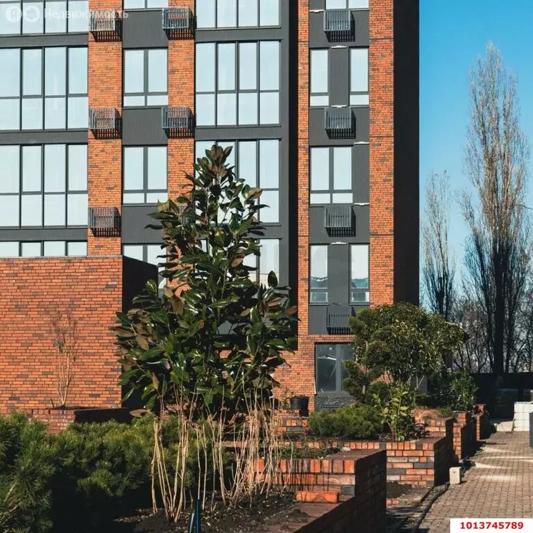1-комнатная квартира: Краснодар, Круговая улица, 4/1 (37.4 м) - Фото 1