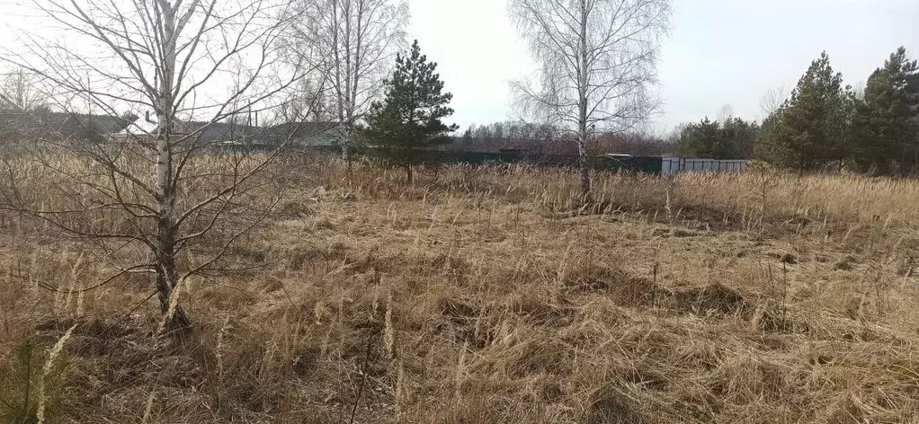 Участок в Московская область, Шатура муниципальный округ, д. ... - Фото 1