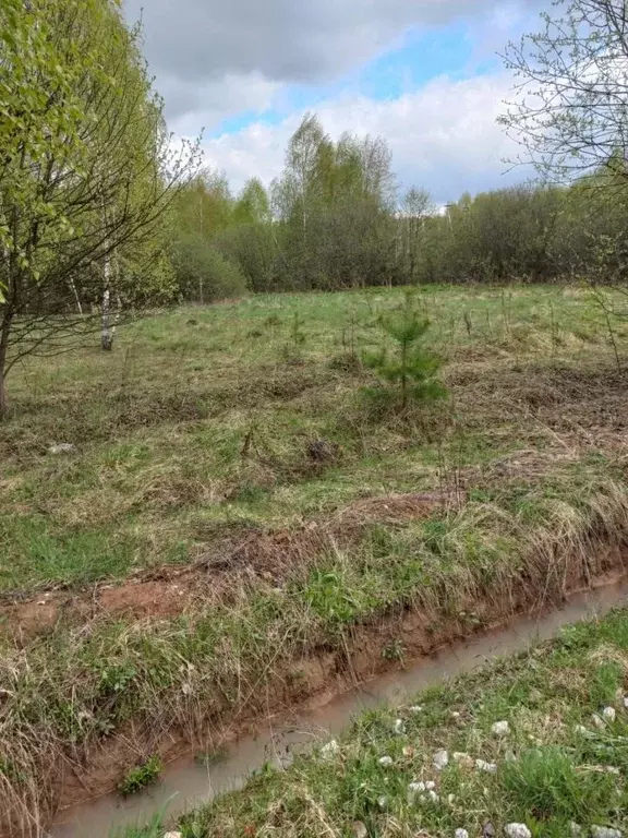 Участок в Московская область, Раменский городской округ, д. Островцы  ... - Фото 0