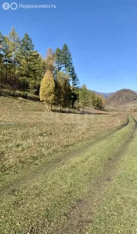 Участок в Чемальский район, село Толгоек (14000 м) - Фото 2
