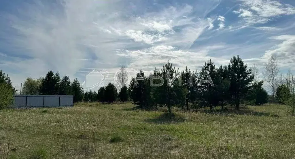 Участок в Тюменская область, Тюменский район, д. Елань 14 (8.0 сот.) - Фото 1