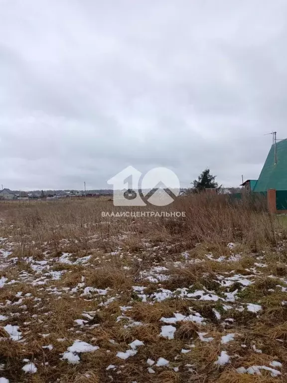 Участок в Новосибирская область, Мошковский район, с. Локти Советская ... - Фото 1