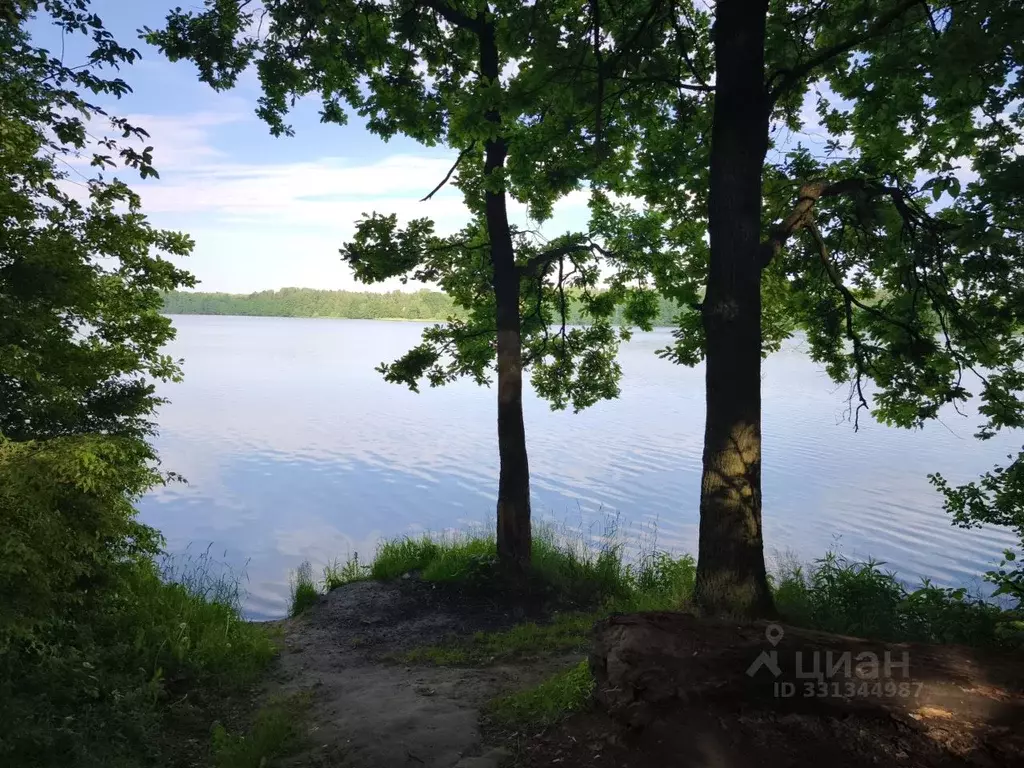 Дом в Московская область, Старая Купавна Богородский городской округ, ... - Фото 1