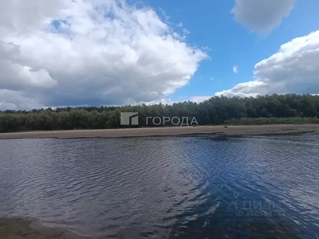 Участок в Новосибирская область, Колыванский район, Электрон СНТ ул. ... - Фото 0