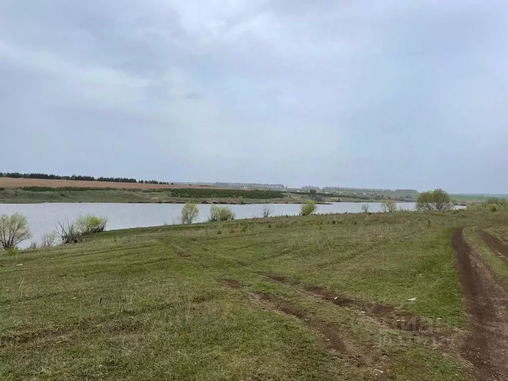 Участок в Татарстан, Пестречинский район, д. Надеждино (5000.0 сот.), Купить  земельный участок Надеждино, Пестречинский район, ID объекта - 20006331394