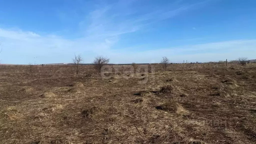 Участок в Алтайский край, Советский район, с. Платово  (12.95 сот.) - Фото 1