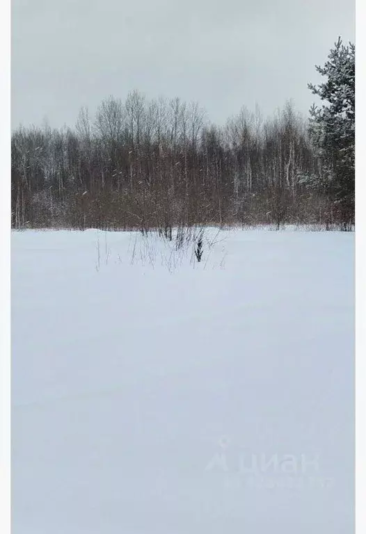 Участок в Пермский край, Пермь Молодежный СНТ, 1 (6.0 сот.) - Фото 2