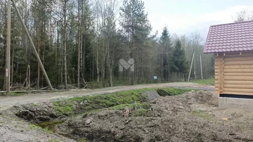 Участок в Ленинградская область, Приозерский район, Ларионовское ... - Фото 1
