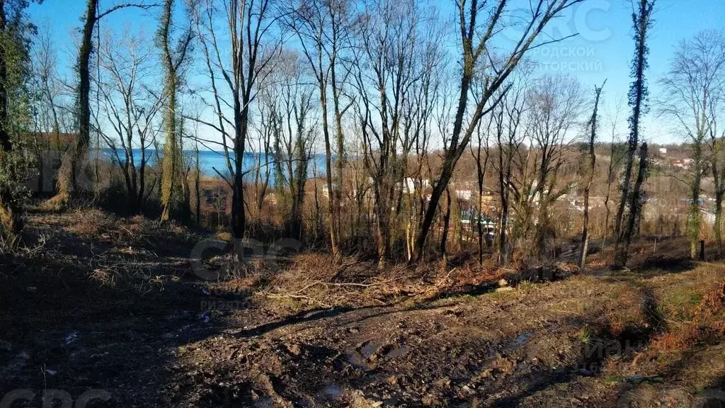 Участок в Краснодарский край, Сочи Главная ул., 125 (204.0 сот.) - Фото 0