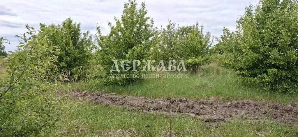Участок в Белгородская область, Старооскольский городской округ, с. ... - Фото 1