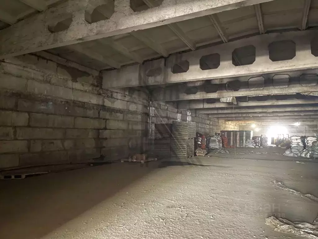 Склад в Воронежская область, Рамонский район, с. Ямное ул. Ольховая, ... - Фото 1