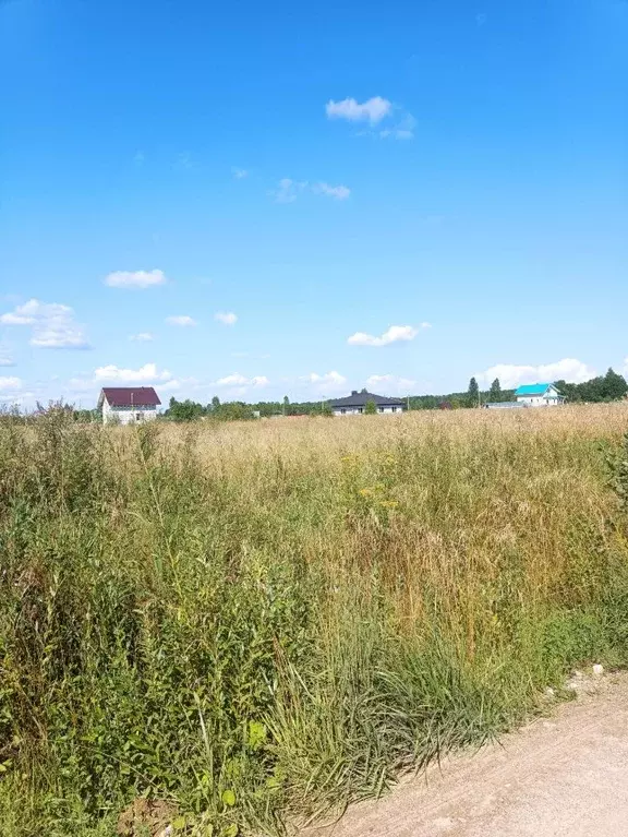 Участок в Новгородская область, Новгородский район, Ермолинское с/пос, ... - Фото 2