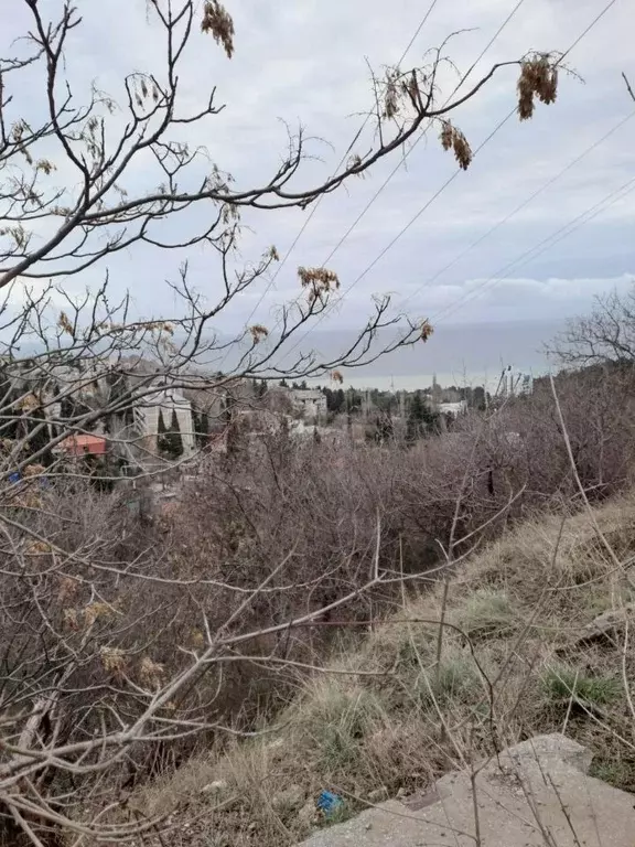 Участок в Крым, Ялта муниципальный округ, Гурзуф пгт ул. Приветная, 1 ... - Фото 2