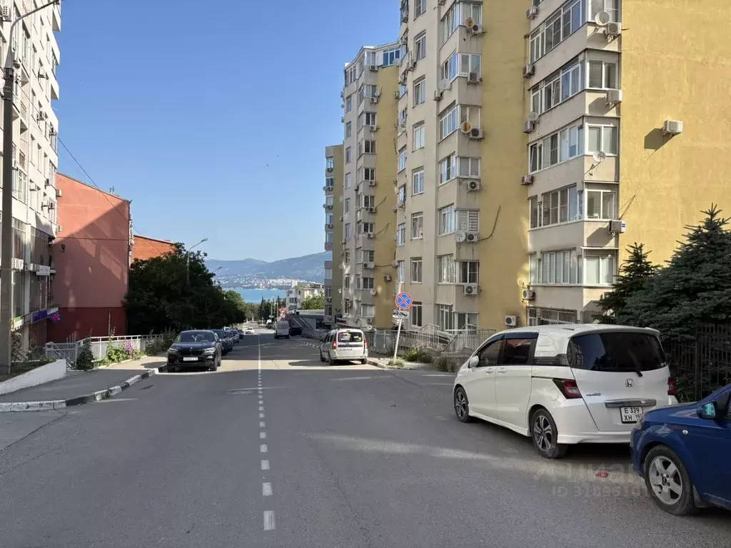 Студия Краснодарский край, Геленджик ул. Грибоедова, 29 (28.0 м) - Фото 1