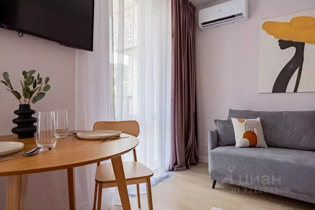 1-к кв. Краснодарский край, Сочи ул. Искры, 88к2 (27.0 м) - Фото 0