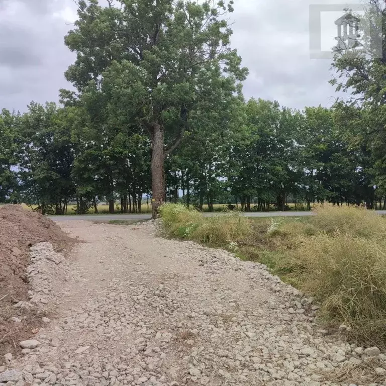 Участок в Калининградская область, Гурьевский муниципальный округ, ... - Фото 1