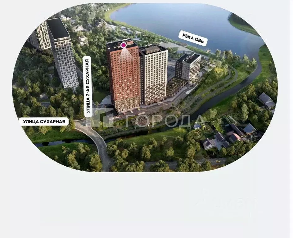 Помещение свободного назначения в Новосибирская область, Новосибирск ... - Фото 1