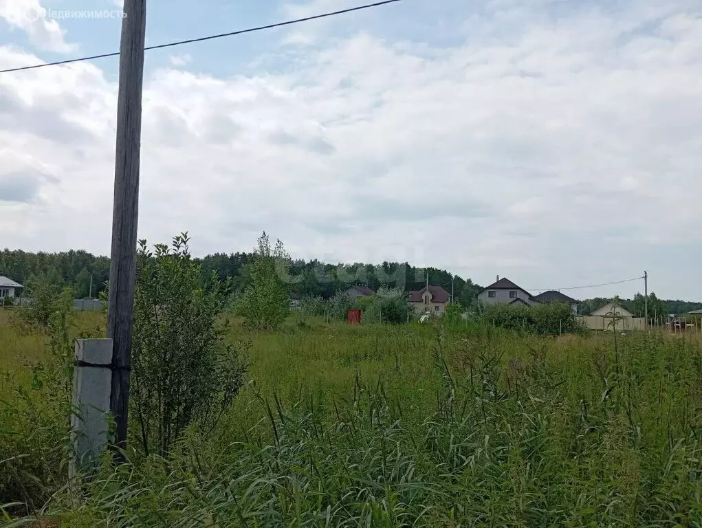 Участок в Курганская область, Кетовский муниципальный округ, ДНТ ... - Фото 0