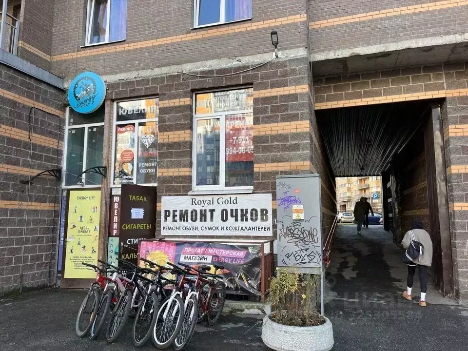 Помещение свободного назначения в Ленинградская область, Мурино ... - Фото 1