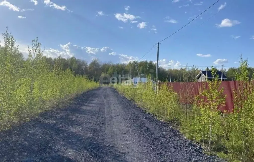 Участок в Тюменская область, Нижнетавдинский район, Душевное садовое ... - Фото 1