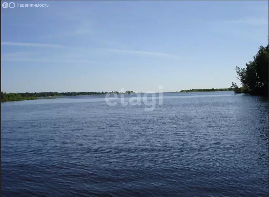 Участок в Ярославский муниципальный округ, деревня Сорокино (16 м) - Фото 1