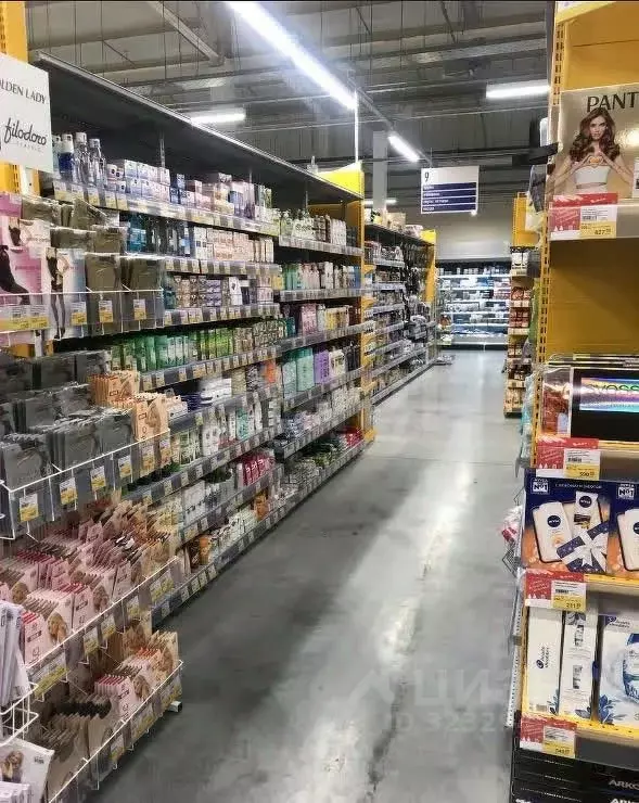 Торговая площадь в Новосибирская область, Новосибирск Волховская ул., ... - Фото 1