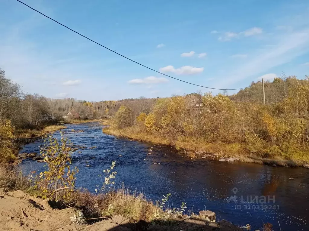 Участок в Ленинградская область, Лодейнопольский район, Алеховщинское ... - Фото 1