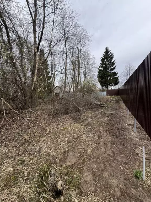 Участок, 6 сот., поселения (ижс) - Фото 2