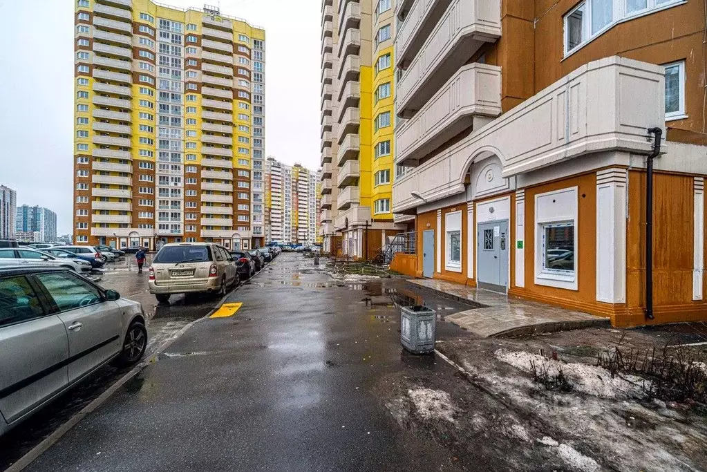 1-к кв. Санкт-Петербург просп. Королева, 66к1 (40.0 м) - Фото 1