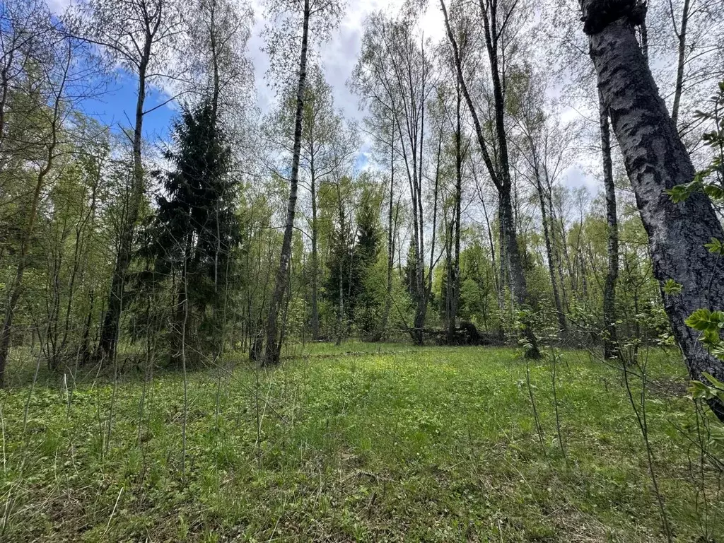 Участок в Московская область, Ступино городской округ, д. Торбеево ул. ... - Фото 0