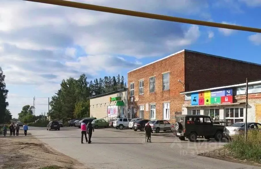 Участок в Новосибирская область, Новосибирский район, Станционный ... - Фото 1