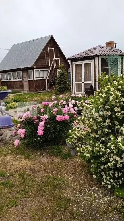 Дом в Новосибирская область, Коченевский район, д. Троицк Приозерная ... - Фото 0
