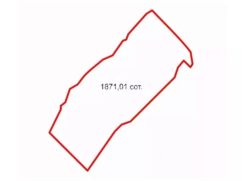 Участок в Ленинградская область, Лужский район, Осьминское с/пос, д. ... - Фото 2