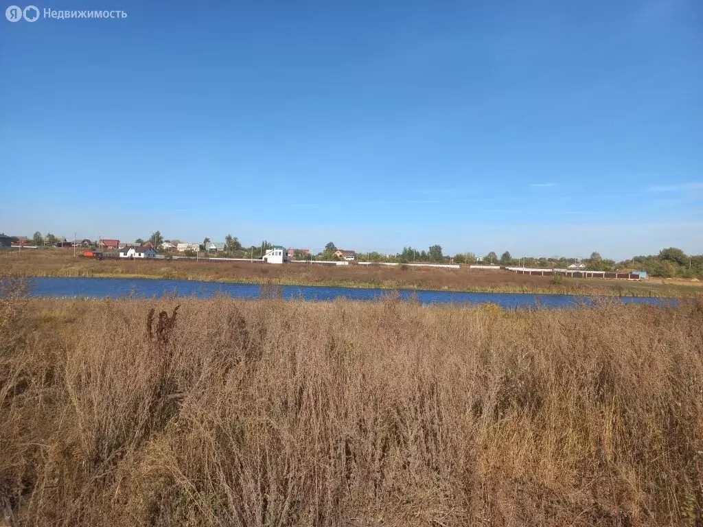 Участок в Узловский район, муниципальное образование Каменецкое, ... - Фото 0