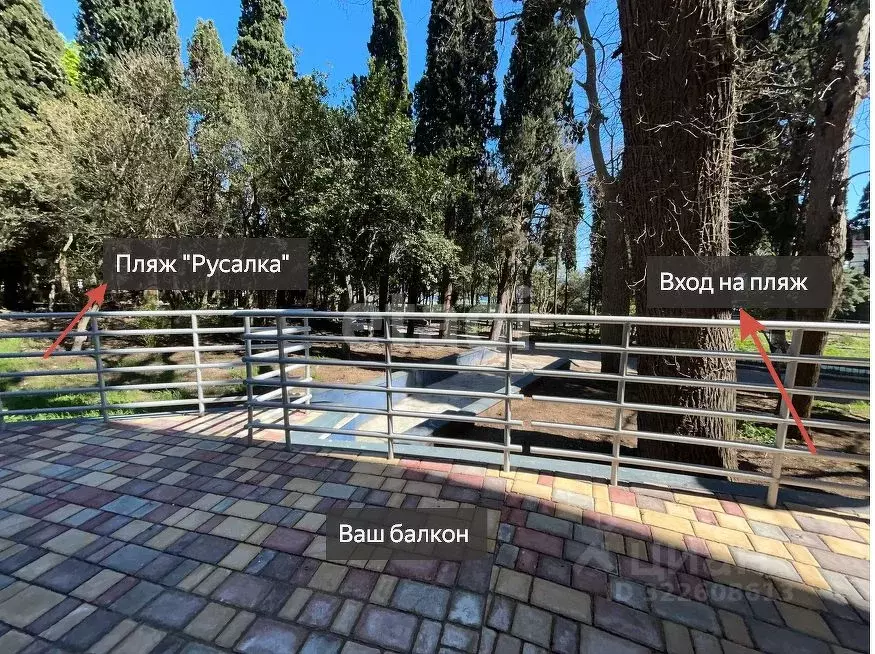 Студия Крым, Ялта муниципальный округ, Кореиз пгт, парк-памятник ... - Фото 1