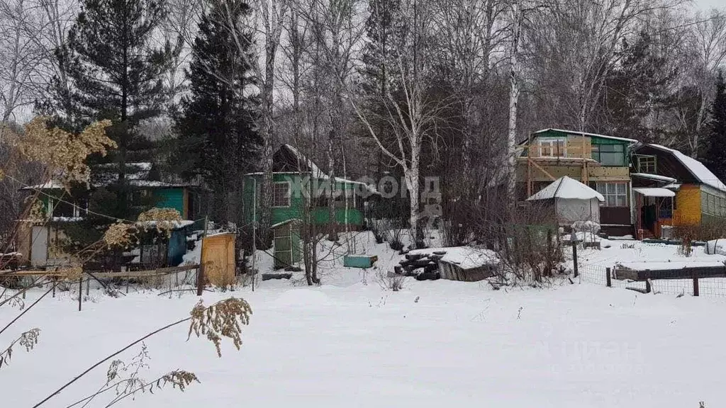 Дом в Новосибирская область, Новосибирский район, Раздольненский ... - Фото 1