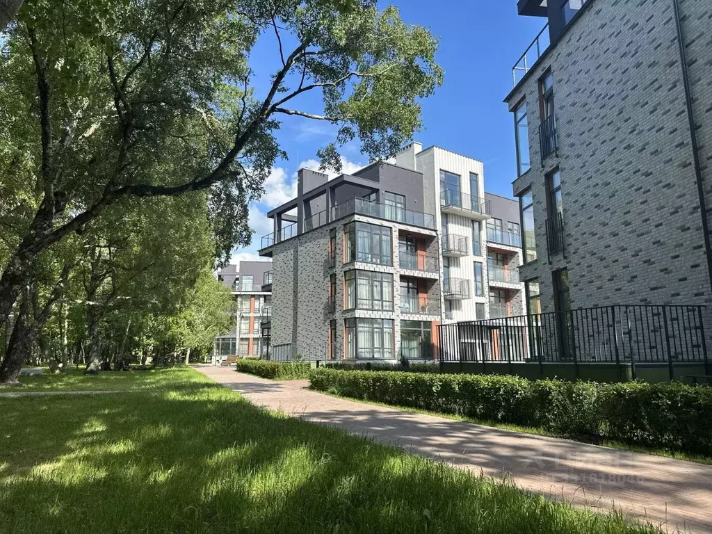 Студия Калининградская область, Светлогорский городской округ, пос. ... - Фото 1