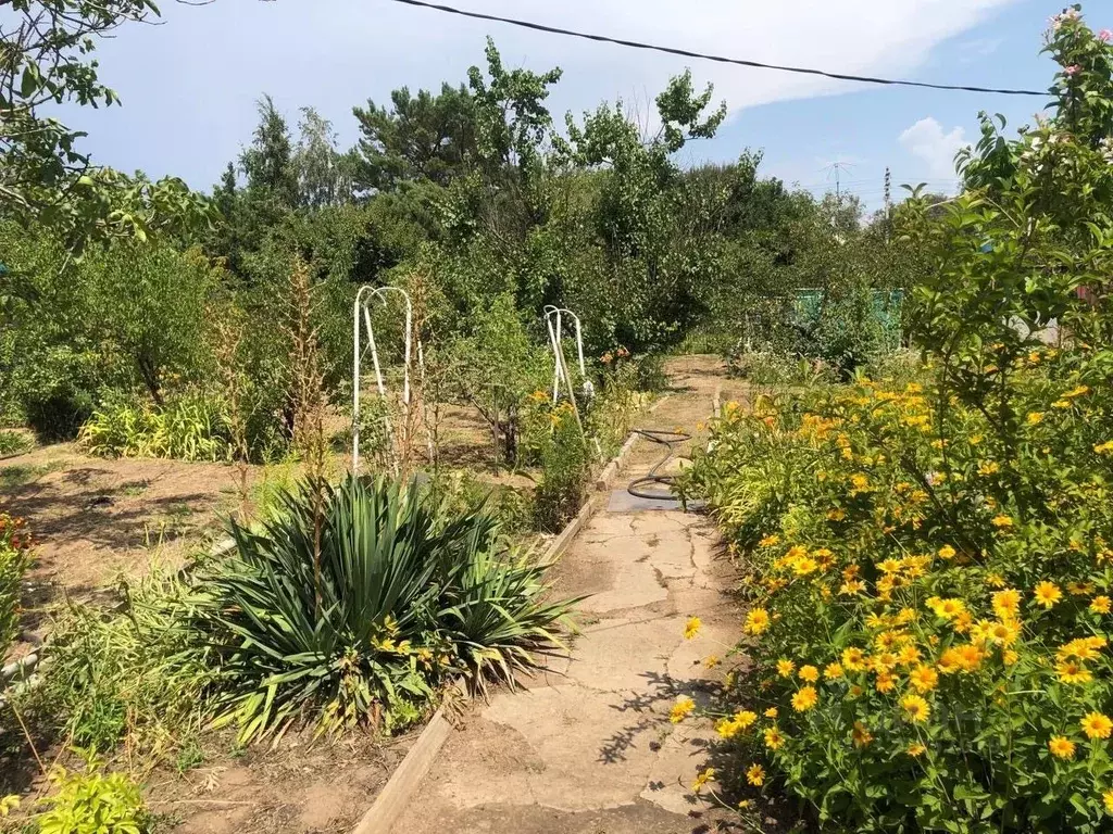 Дом в Волгоградская область, Светлоярский район, Кировское с/пос, ... - Фото 2