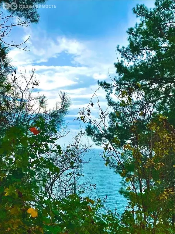 Участок в Краснодарский край, Сочи, посёлок Вардане (6.34 м) - Фото 1