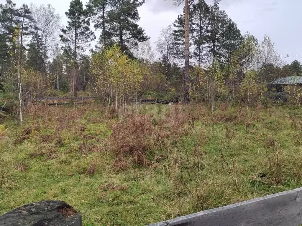 Участок в Турочак, Луговая улица (10.5 м) - Фото 1