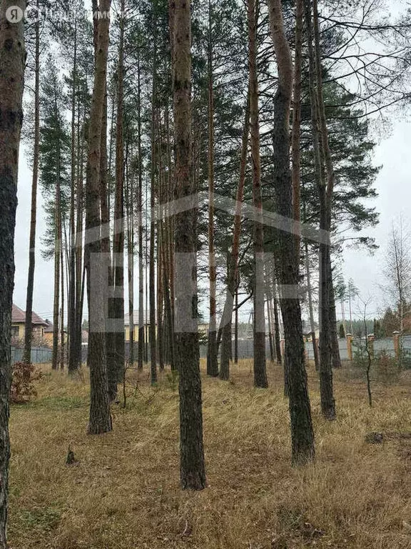 Участок в деревня Новоподклетное, улица Димитрова (12 м) - Фото 1