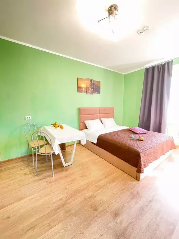 Студия Ленинградская область, Мурино Всеволожский район, ул. Шувалова, ... - Фото 1