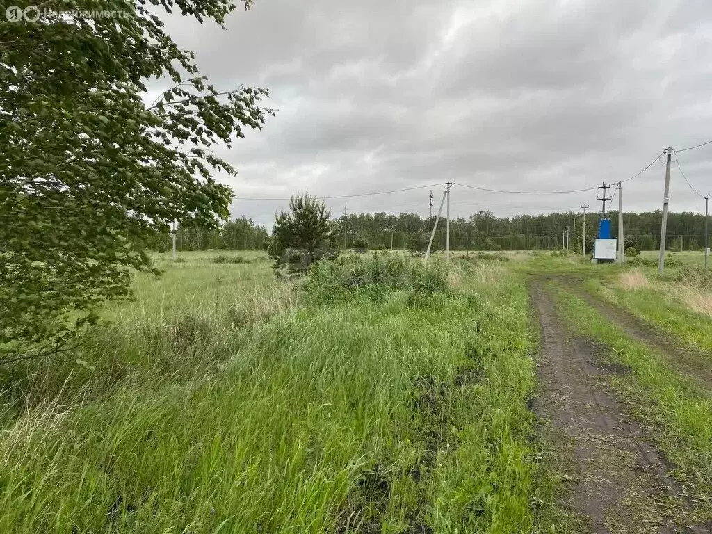 Участок в Колесниково, Первая улица (10 м) - Фото 0