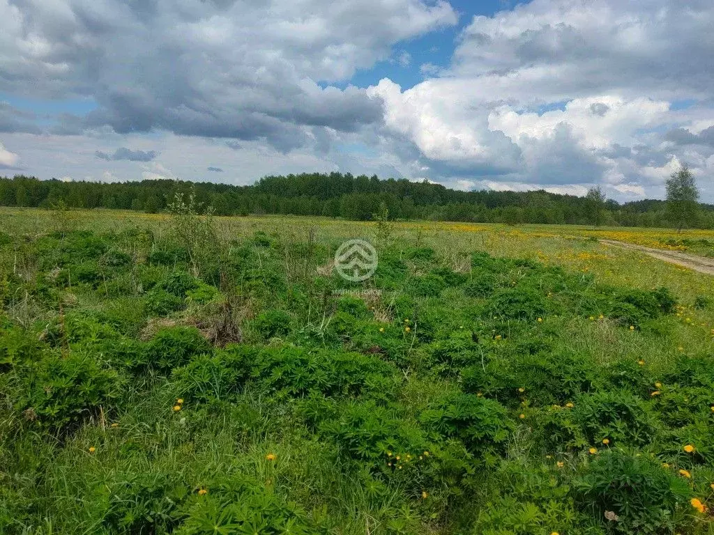 Участок в Московская область, Солнечногорск городской округ, д. ... - Фото 2